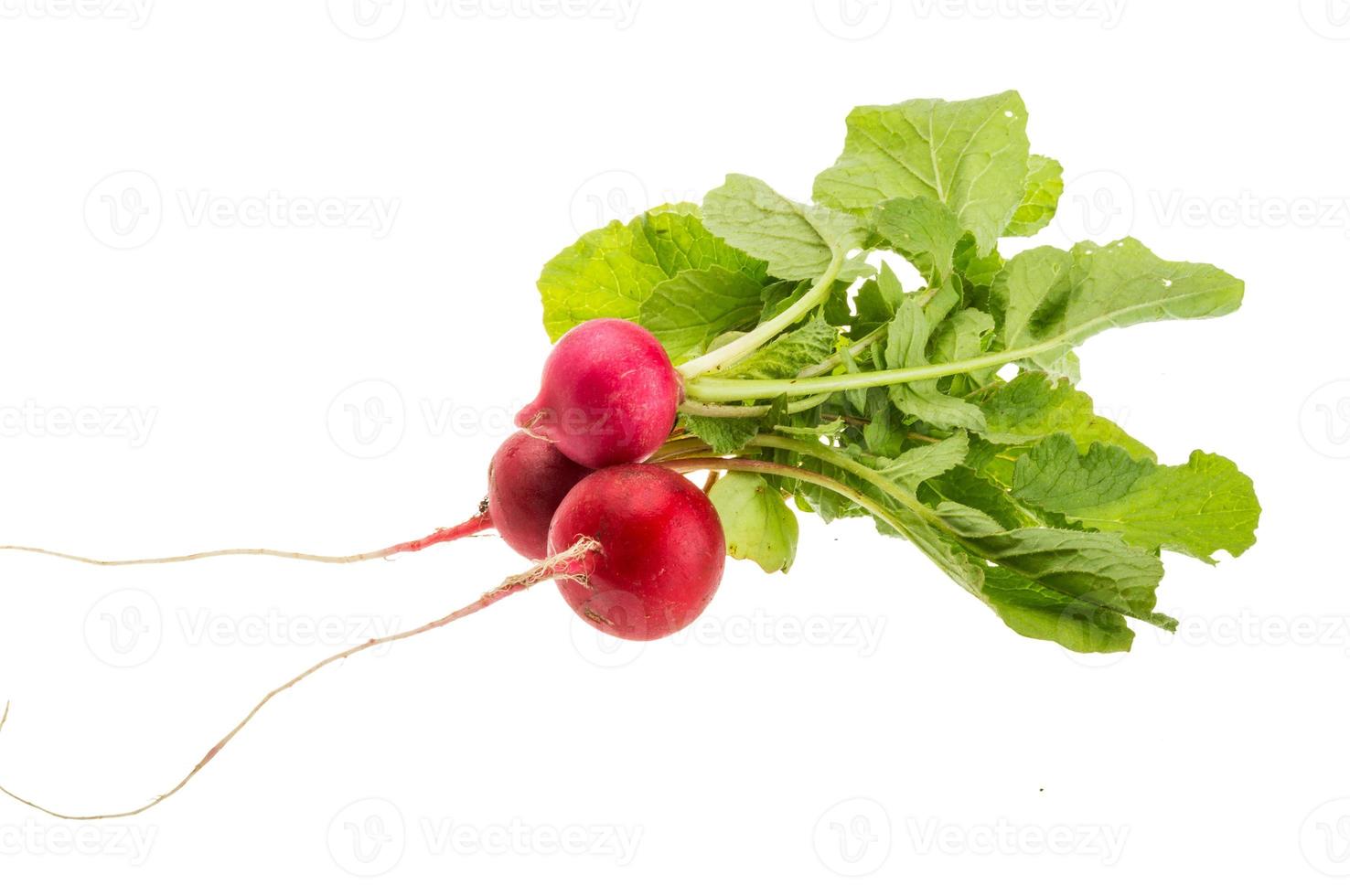 Fresh radish on white background photo