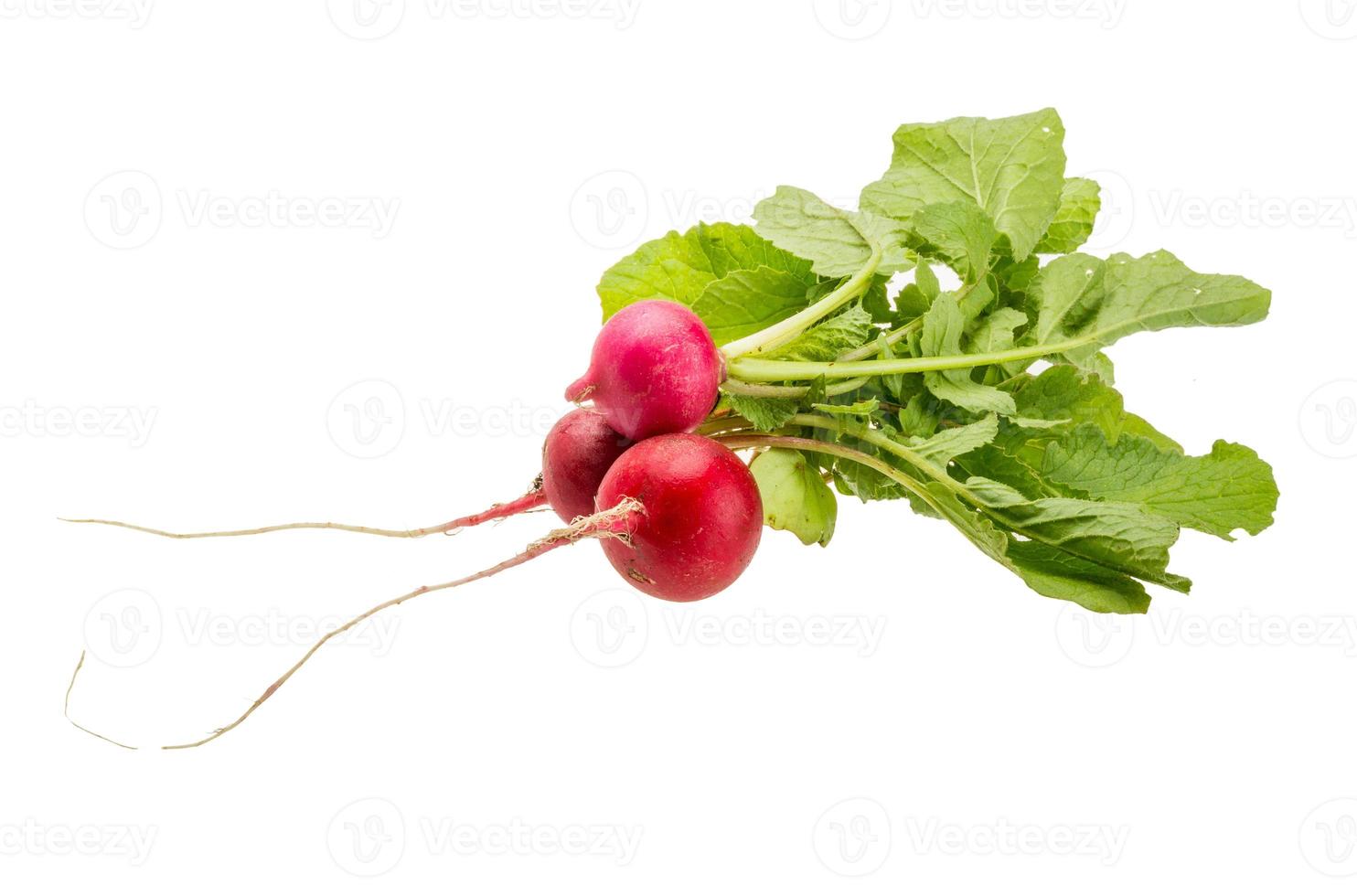 Fresh radish on white background photo