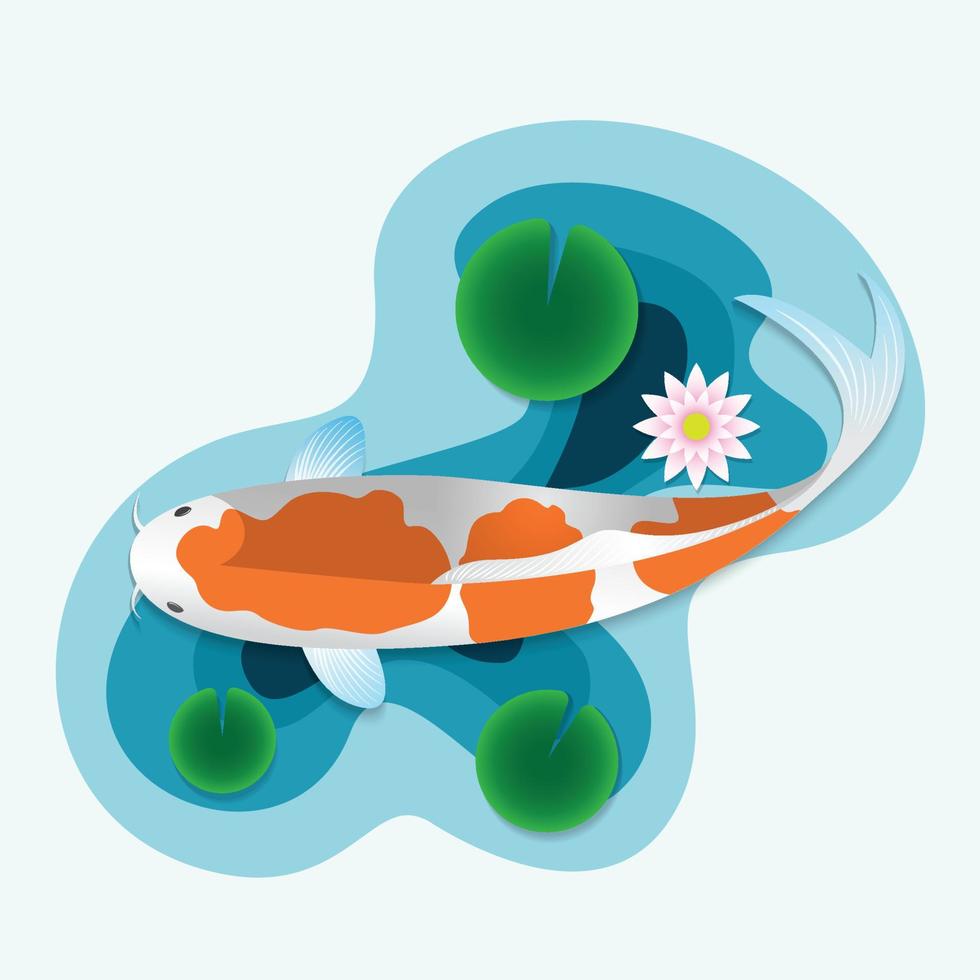 Koi fish illustrations and vectors swimming in water with lotus and lotus leaves.