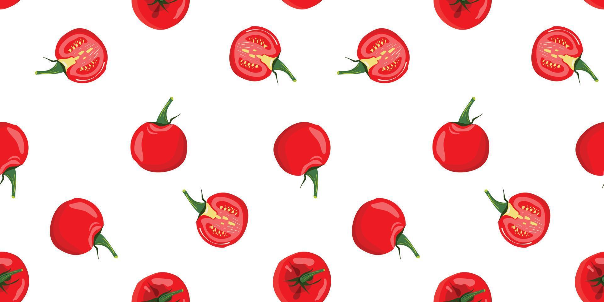 fondo de tomate. patrón sin fisuras con rodajas de tomate fresco sobre fondo blanco. vector