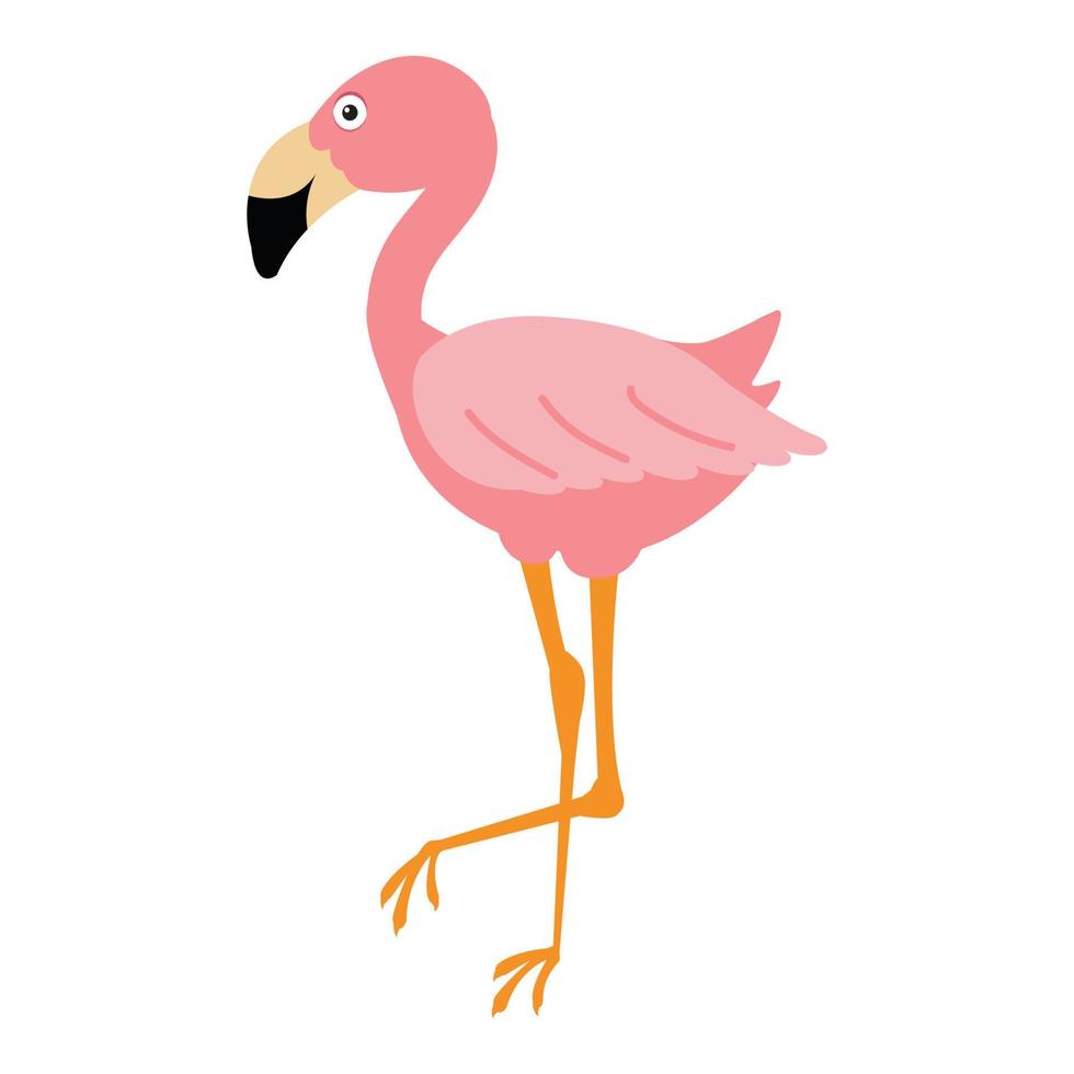 Cute pink flamingo on a white background vector