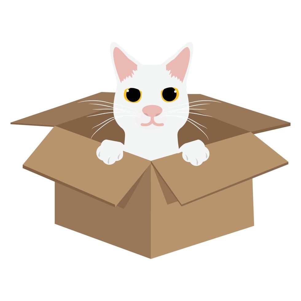 Cute white cat in the cardboard vector