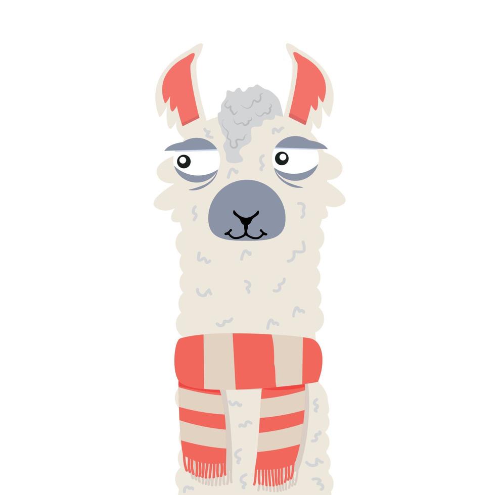 Llama or alpaca scarf smiling portrait vector