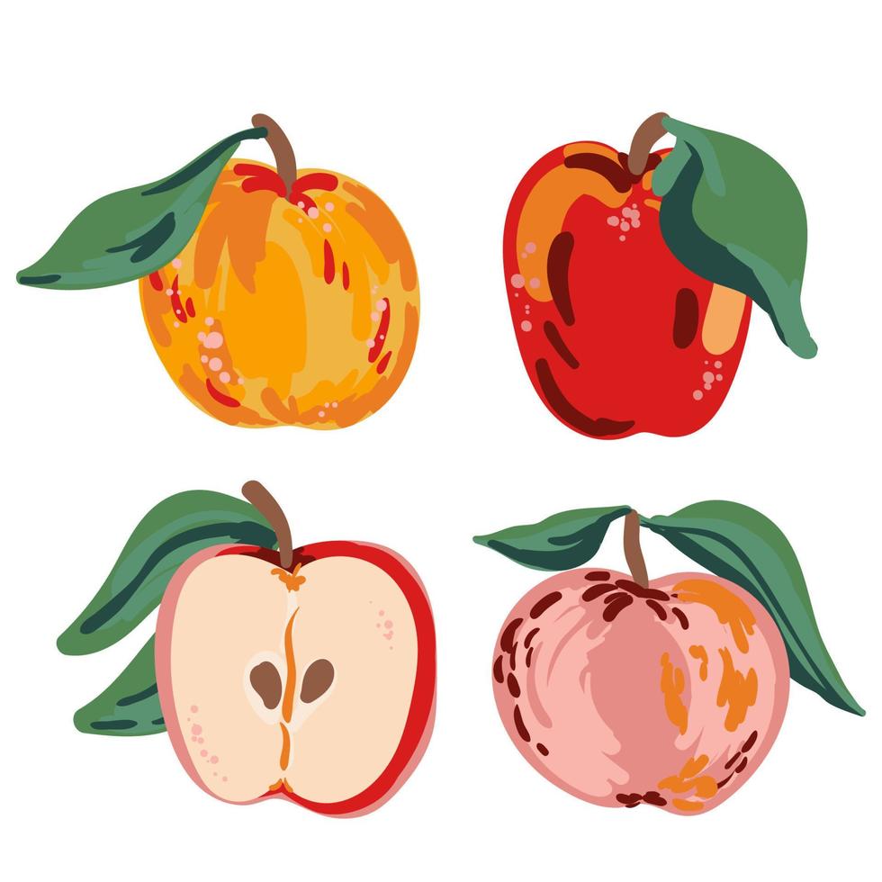 mitad colorida, cortada y entera de manzanas jugosas ilustraciones vectoriales aisladas en blanco. frutos rojos, amarillos y rosados dibujados a mano para ilustrar una alimentación saludable, recetas, granja local. tarjeta con manzana. vector