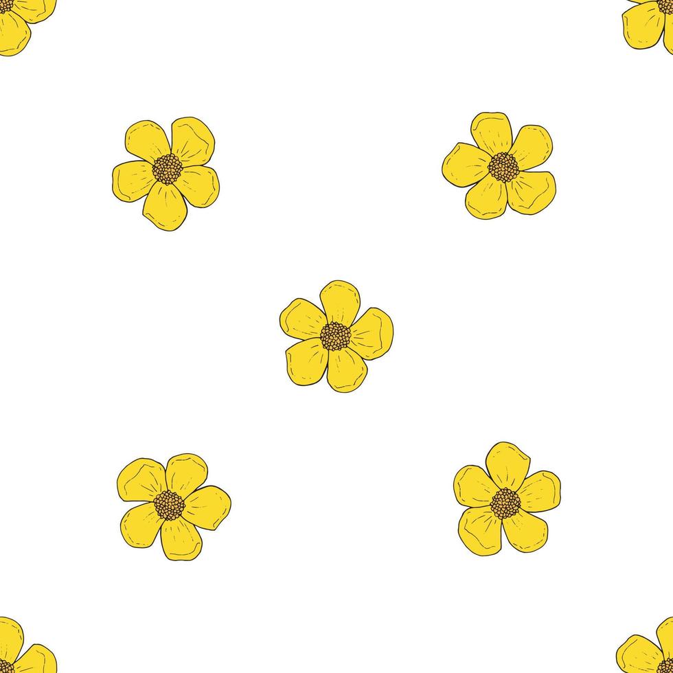 Seamless background of beautiful buttercup. Endless pattern with flower for your design. vector