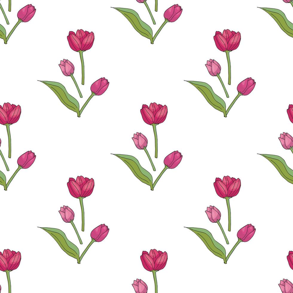 fondo transparente con hermosos tulipanes rosas sobre fondo blanco. fondo floral sin fin para su diseño. vector