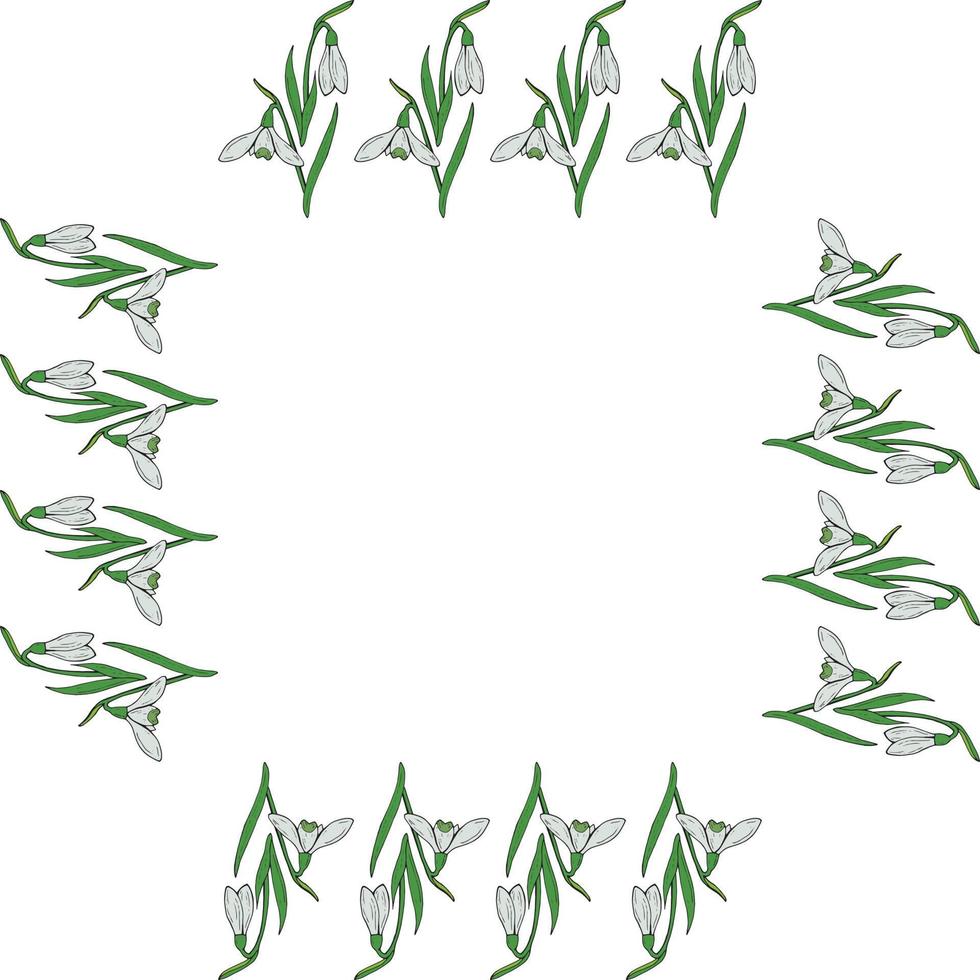 Square frame of colored snowdrops. Isolated flowers  on white background for your design. vector