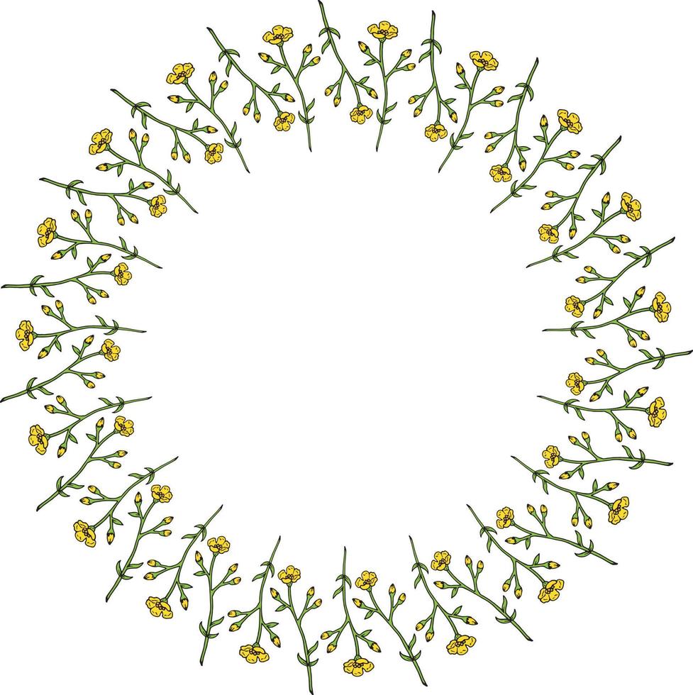 Round frame with vertical flowers buttercups on white background. Isolated frame with flowers for your design. vector