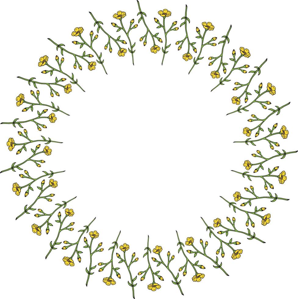 Round frame with vertical flowers buttercups on white background. Isolated frame with flowers for your design. vector