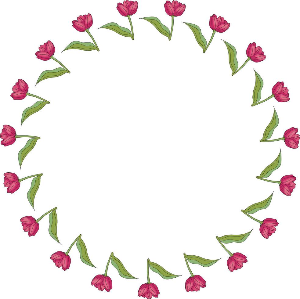 Round frame with vertical blooming pink tulips on white background. Isolated frame of flowers for your design. vector