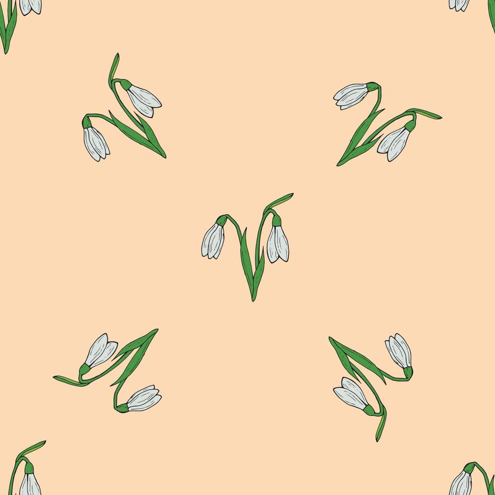 Seamless background of beautiful snowdrops on beige background. Endless pattern with flower for your design. vector