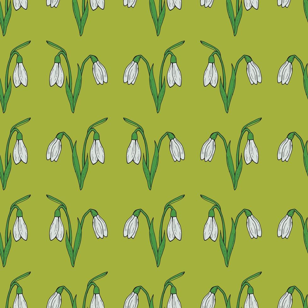 Seamless background of vector snowdrops on green background. Endless pattern with flower for your design.
