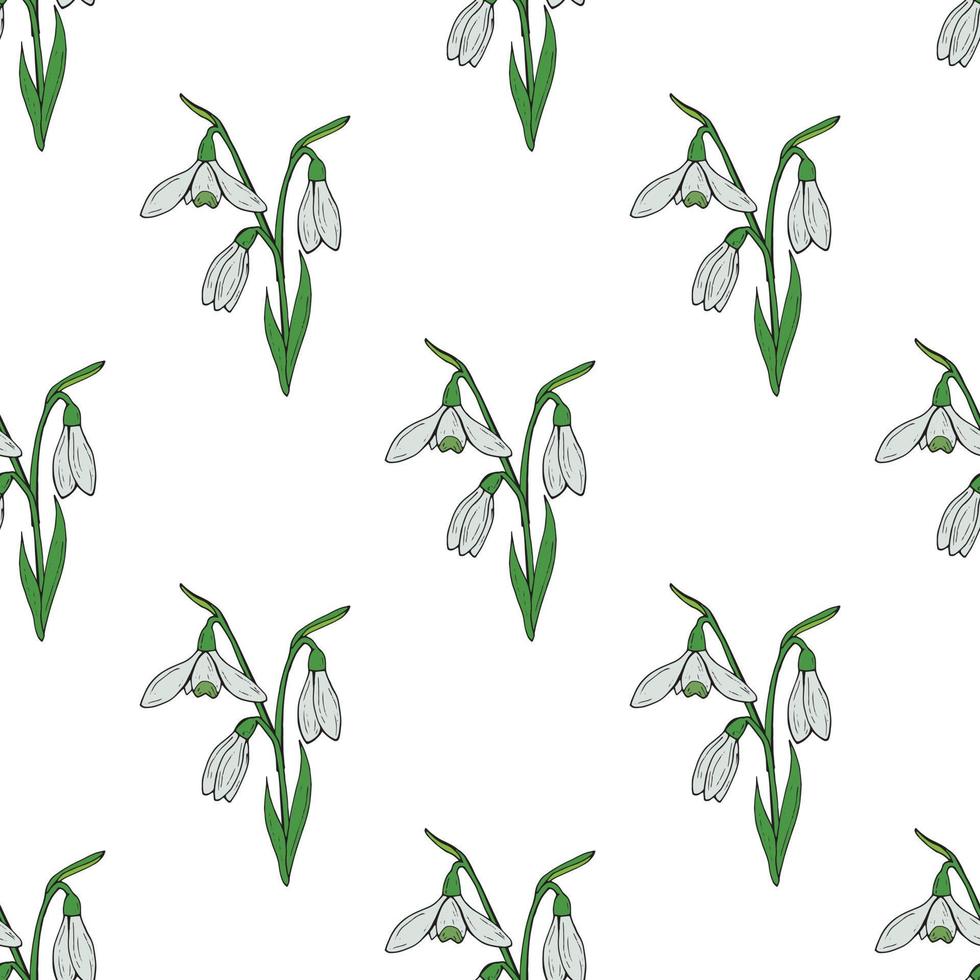 Seamless background with lovely snowdrops on white background. Endless vector flowers pattern for your design.