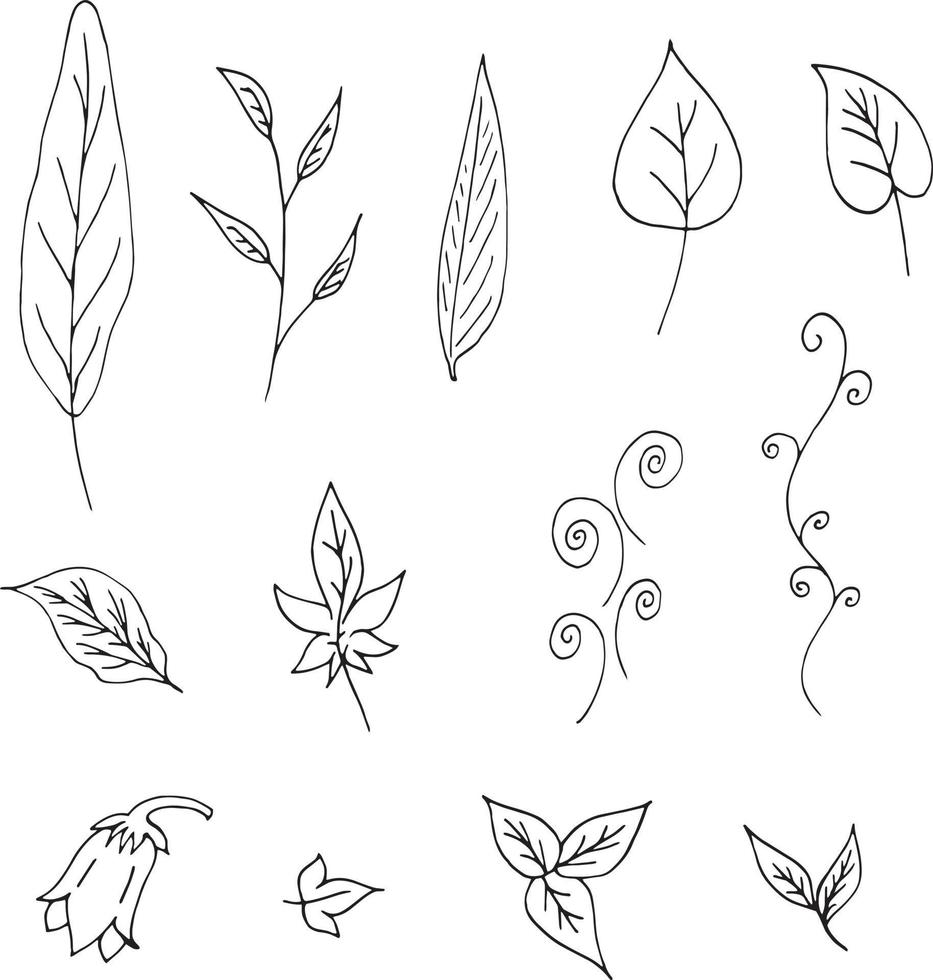 Set of black-and-white plant elements. A collection of leaves and decorative elements for your design. Vector image.