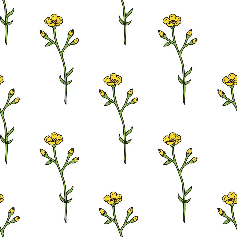 Seamless background of yellow buttercup. Endless pattern with flowers for your design. vector
