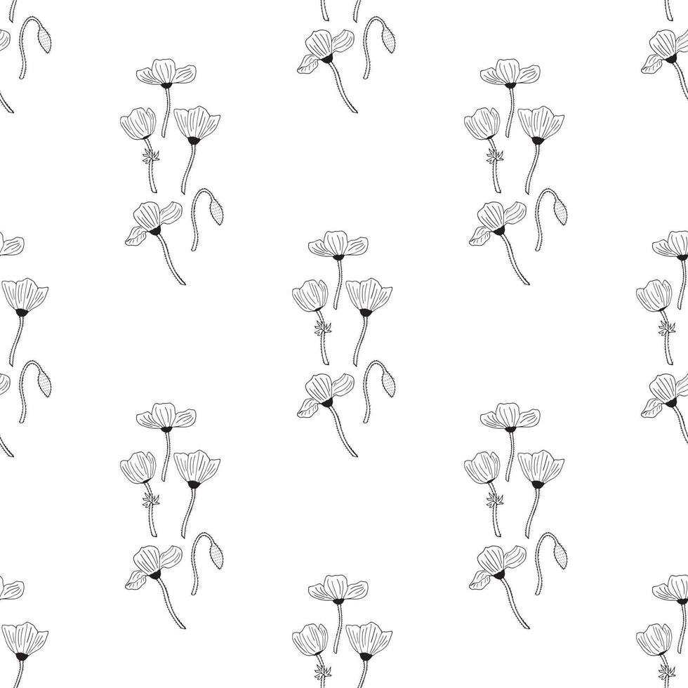 Seamless background of lovely black and white poppies on white background. Endless pattern for your design. vector