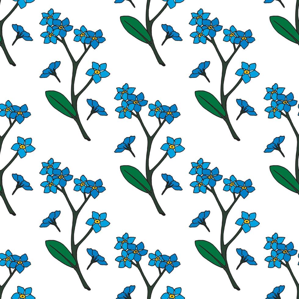 fondo transparente de hermosas flores azules nomeolvides. patrón sin fin para su diseño. vector