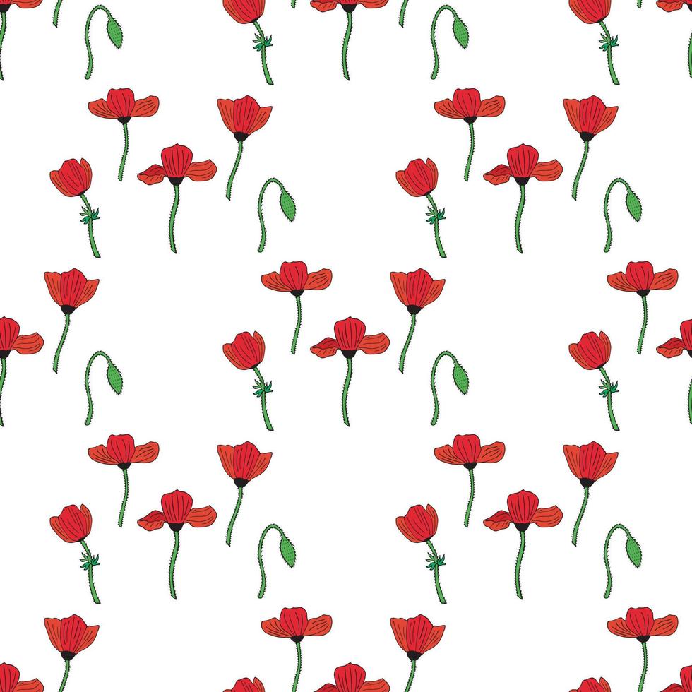 Seamless background with poppies and poppy bud. Endless pattern on white background for your design. Vector. vector