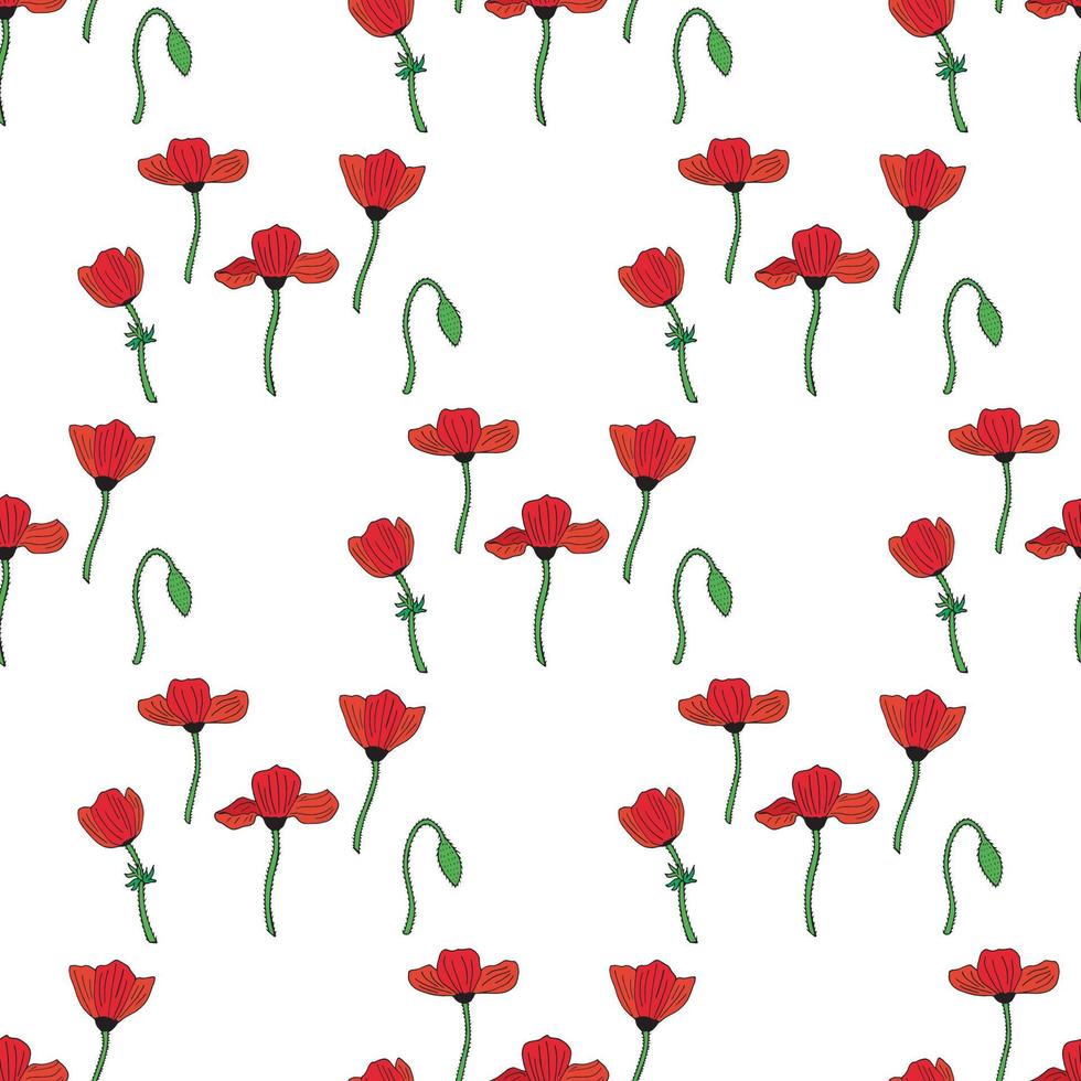 fondo transparente con amapolas y capullos de amapola. patrón interminable sobre fondo blanco para su diseño. vector. vector