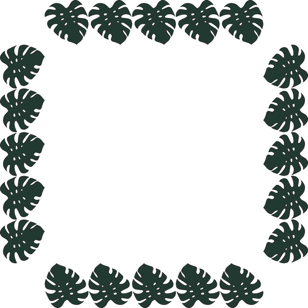 Square frame of vertical dark leaf of monstera on white background. Isolated frame for your design. vector