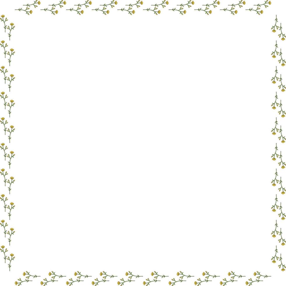 Square frame with beautiful buttercups on white background. Isolated frame with flowers for your design. vector