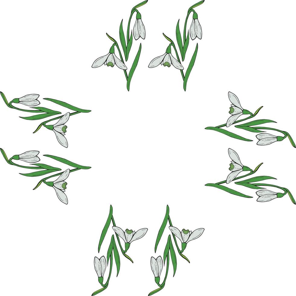 Square frame of snowdrops. Isolated flowers on white background for your design. vector