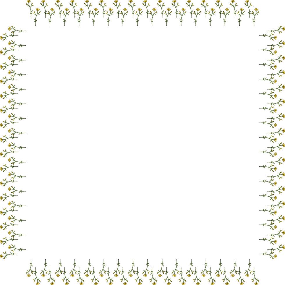 Square frame with buttercups on white background. Isolated frame with flowers for your design. vector