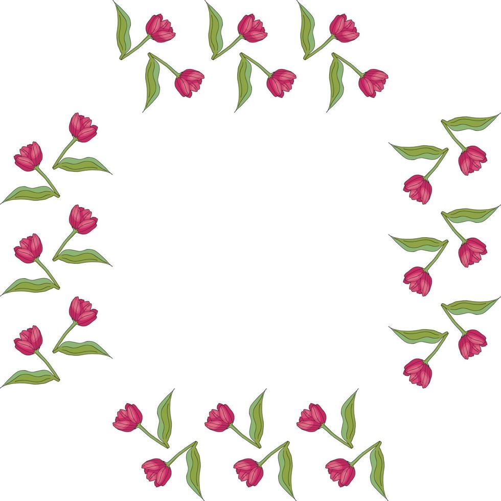 Square frame with cozy horizontal blooming pink tulips on white background. Isolated frame of flowers for your design. vector