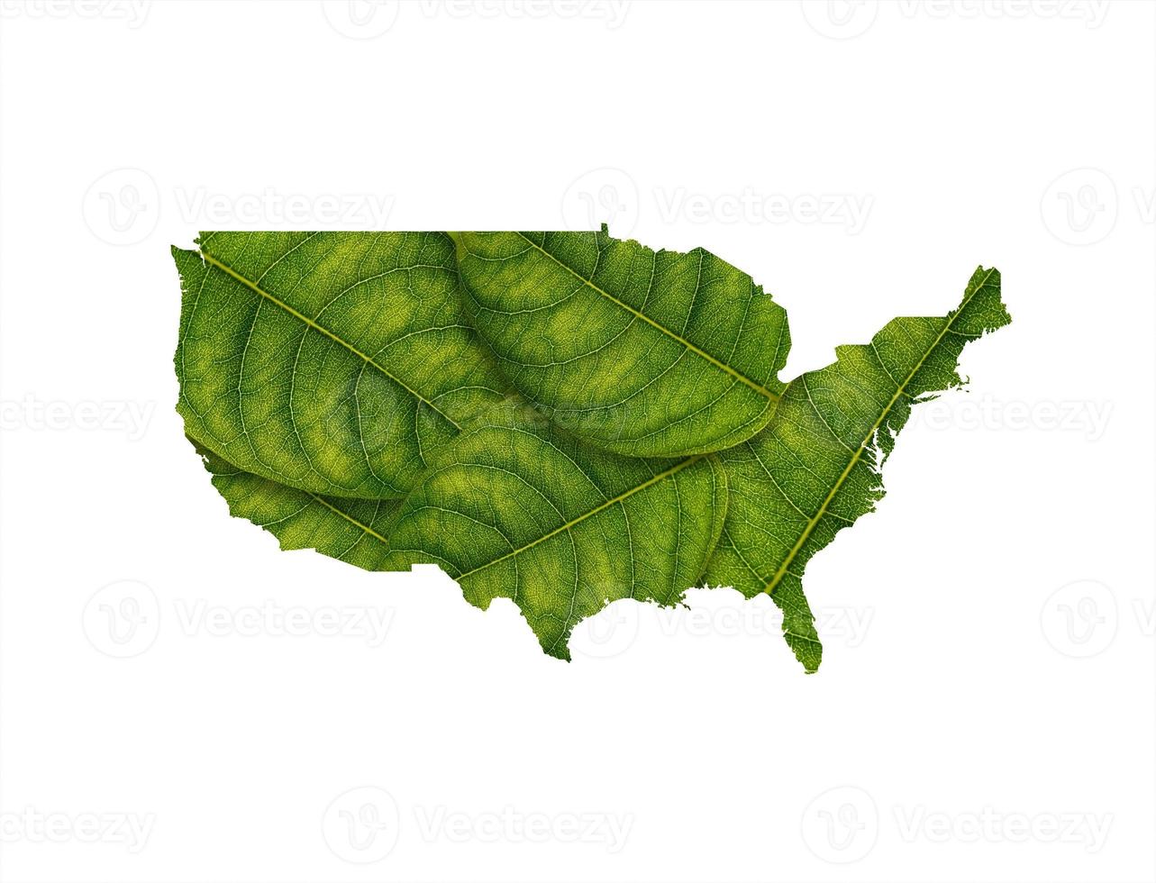 USA map made of green leaves on white background ecology concept photo