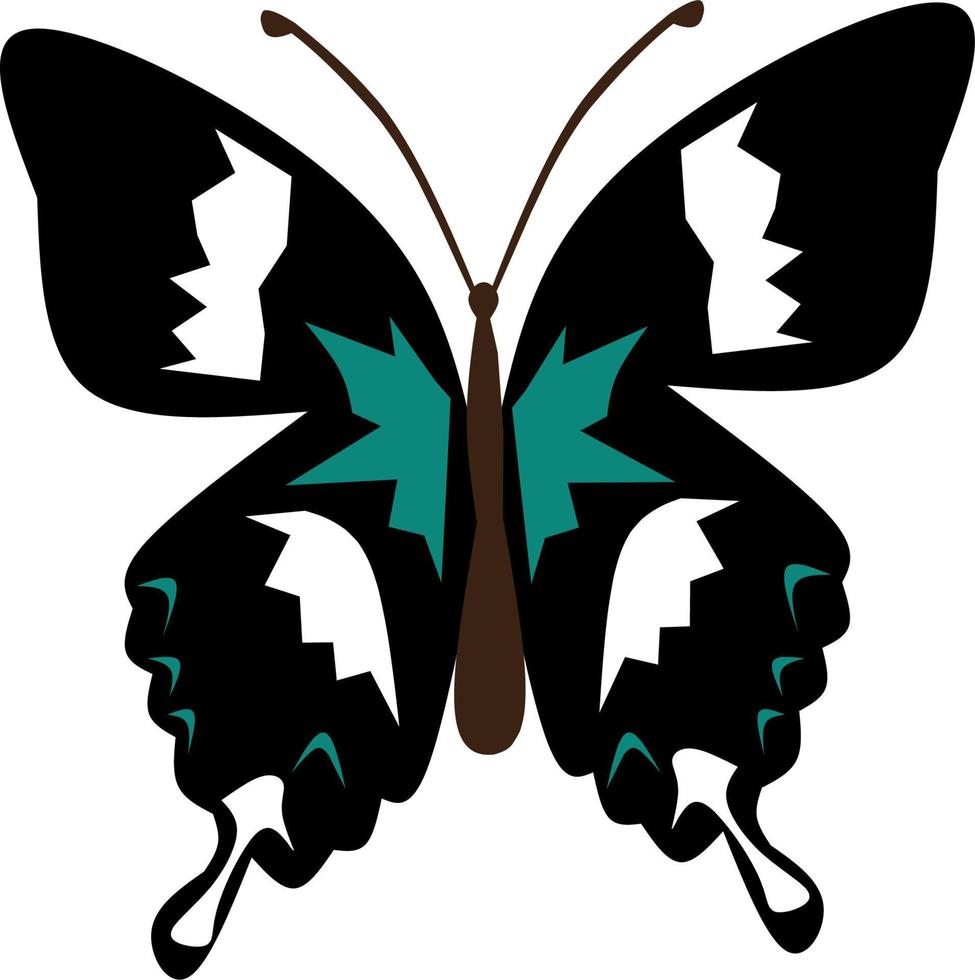 beautiful butterfly collection vector