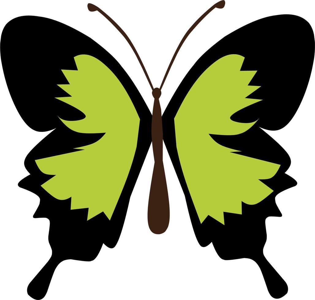 hermosa colección de mariposas vector