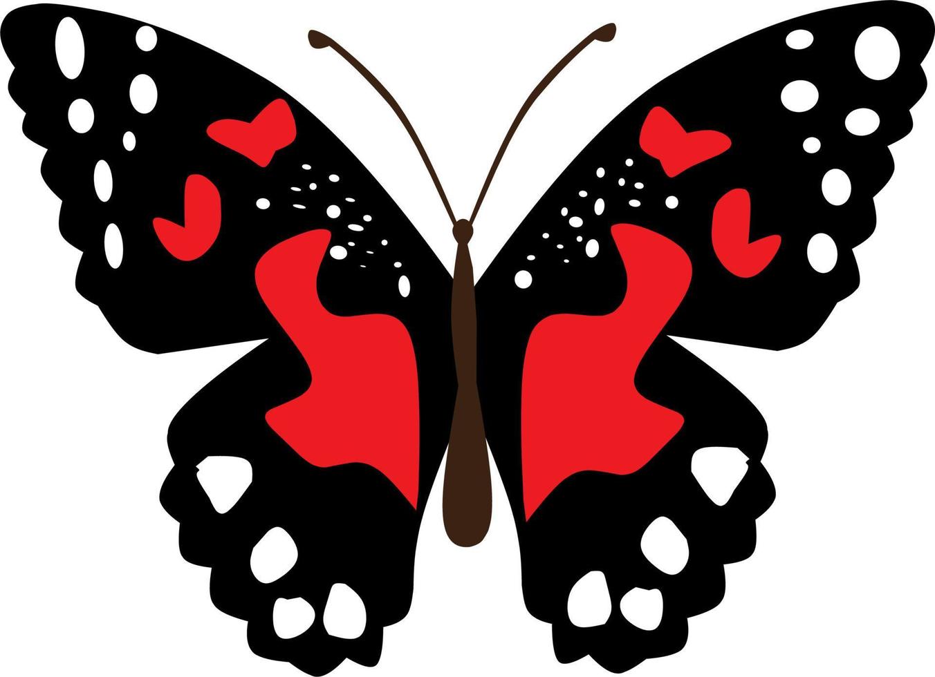 beautiful butterfly collection vector