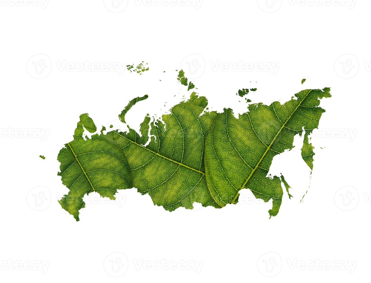 Russia map made of green leaves on soil background ecology concept photo