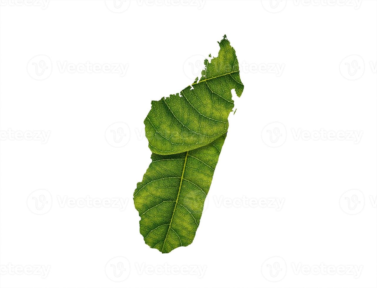 Madagascar map made of green leaves on white background ecology concept photo