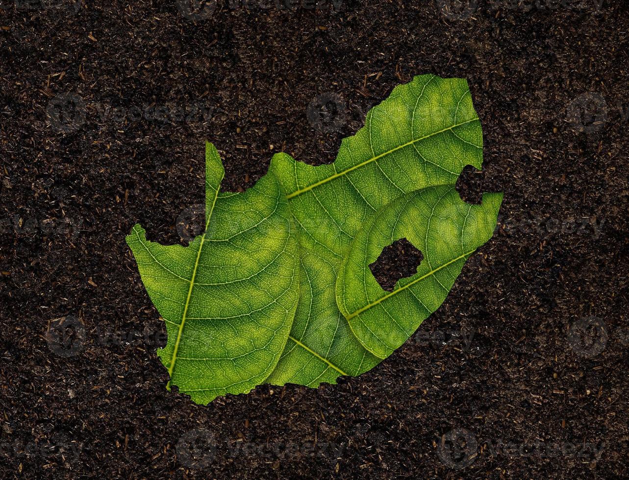 South Africa map made of green leaves on soil background ecology concept photo