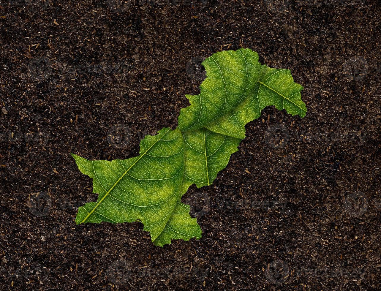 Pakistan map made of green leaves, concept ecology Map green leaf on soil background photo