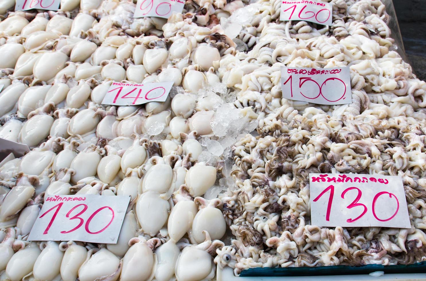 Fresh squid in market photo