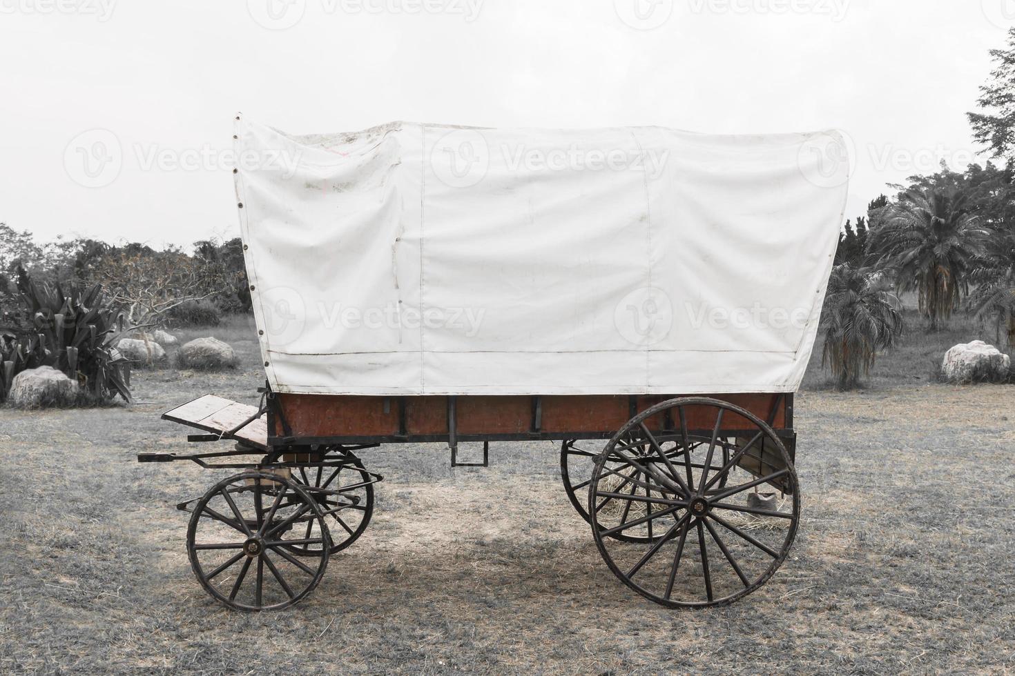 Black  White Covered wagon photo