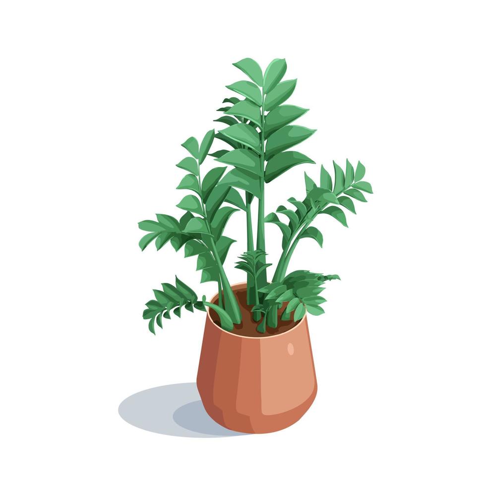 Potted plant for interior isometry. Vector illustration isolated on a white background.