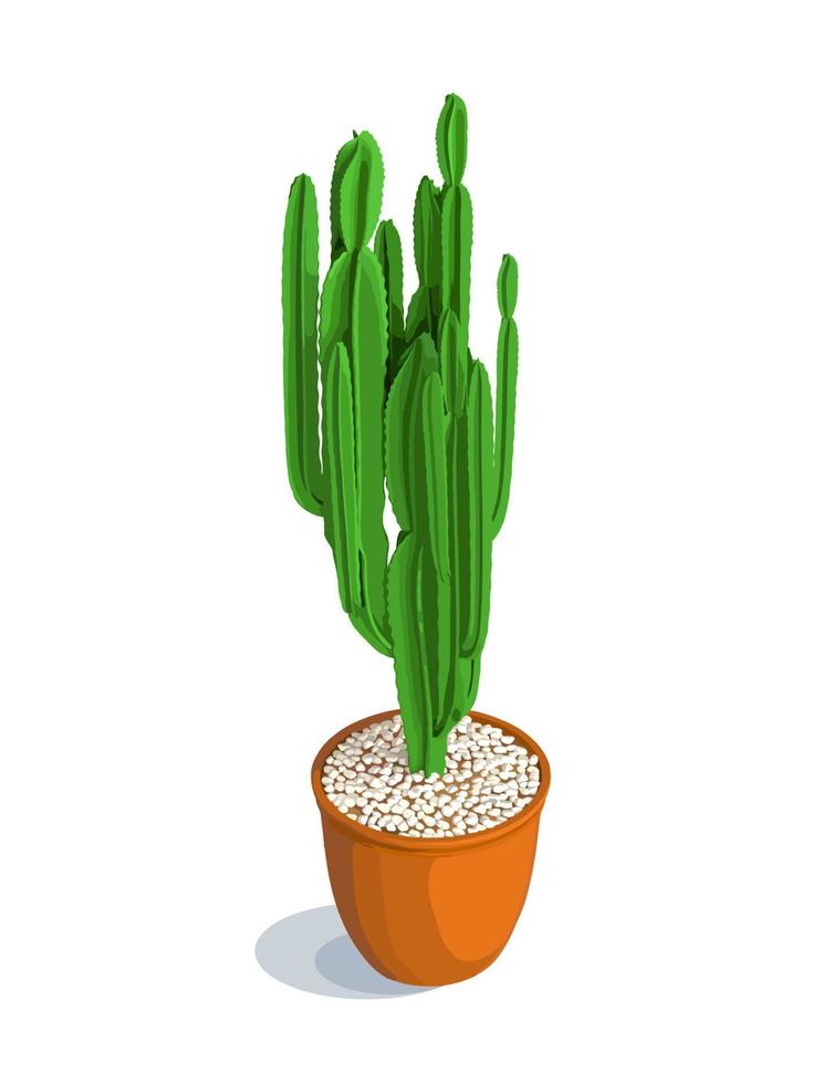 Bright cactus in a pot in isometry. Decorative home plants isolated on white. Vector illustration