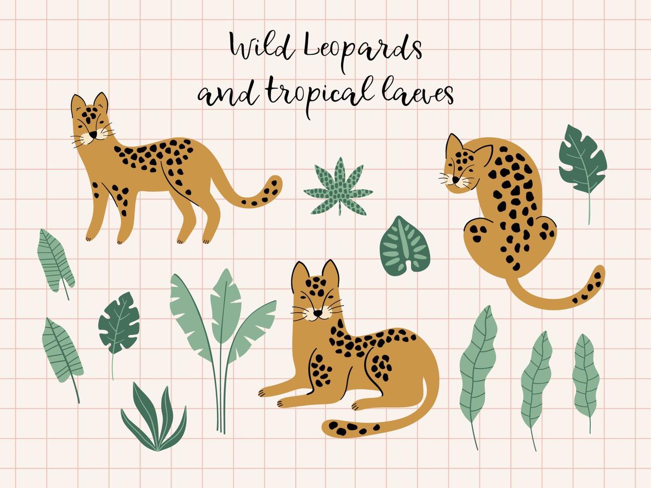 Creative hand drawn collection of leopards and tropical leaves. Trendy design. vector