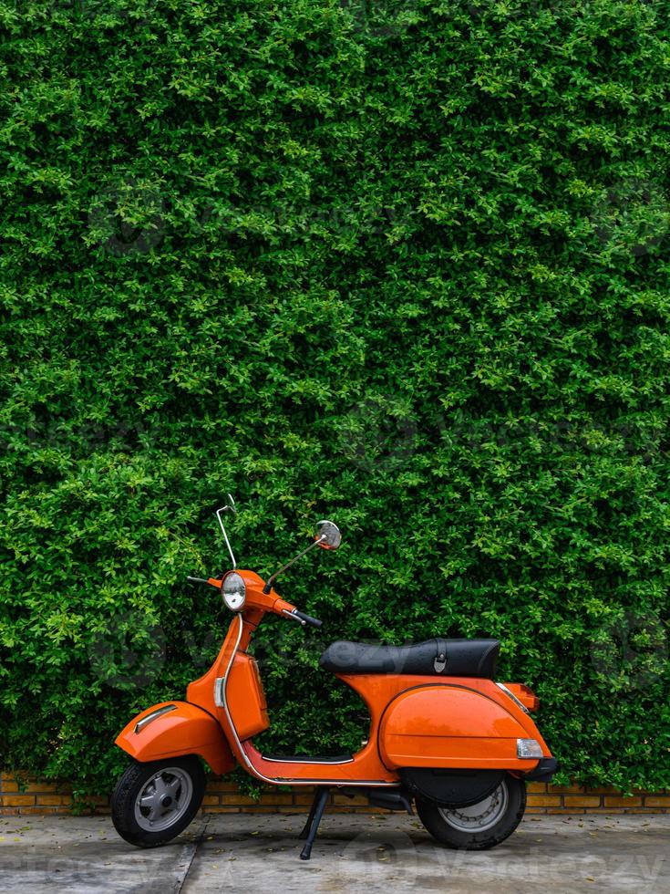 Orange retro scooter parked on street side with green leaves wall. photo