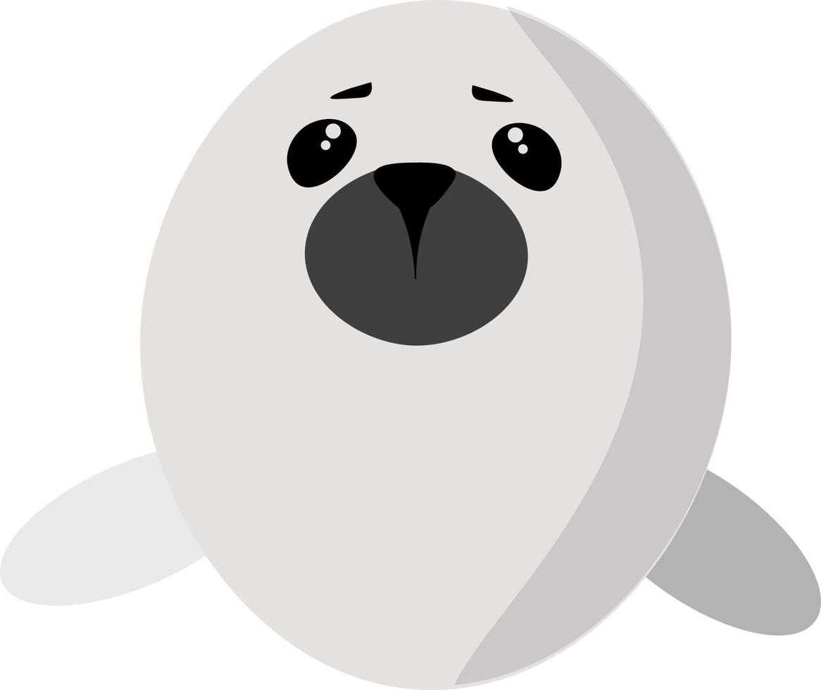 Illustration Baby Seal vector