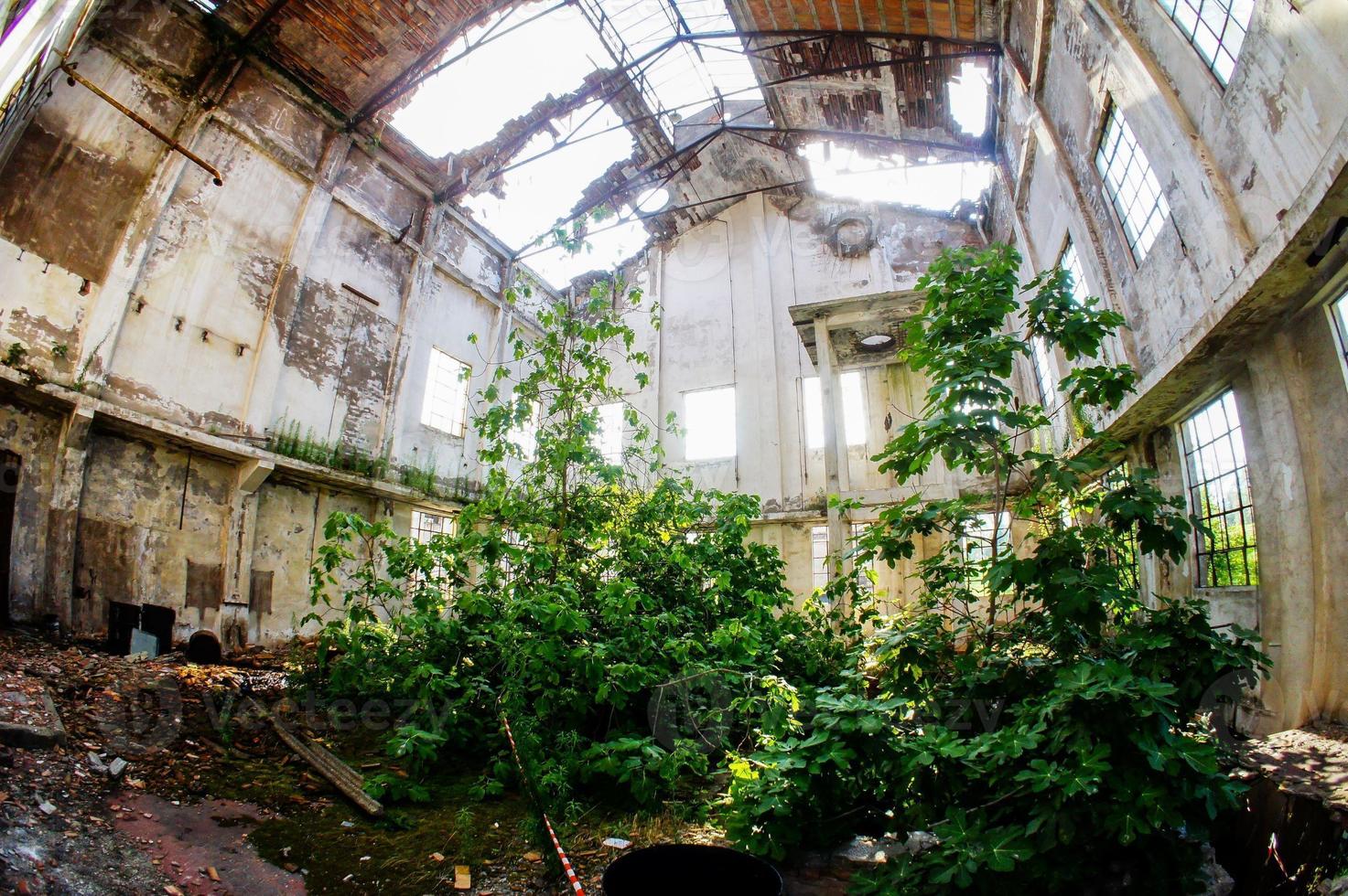 Abandoned Old Ruined Industrial Plant photo