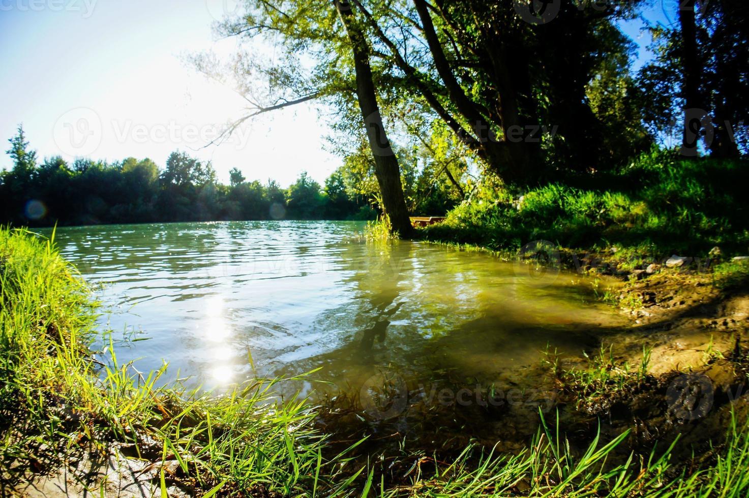 Wild Brenta River photo