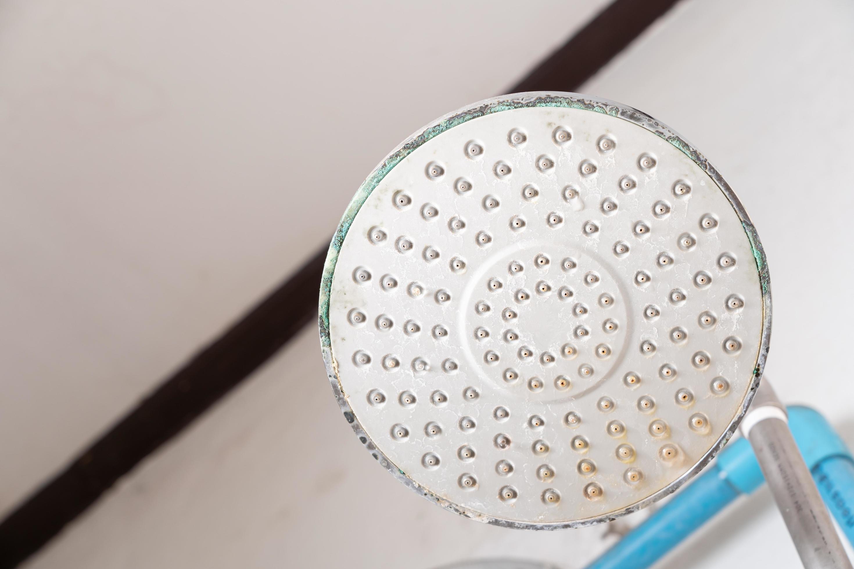 green rust in the shower. A rusty shower head 8901874 Stock Photo at