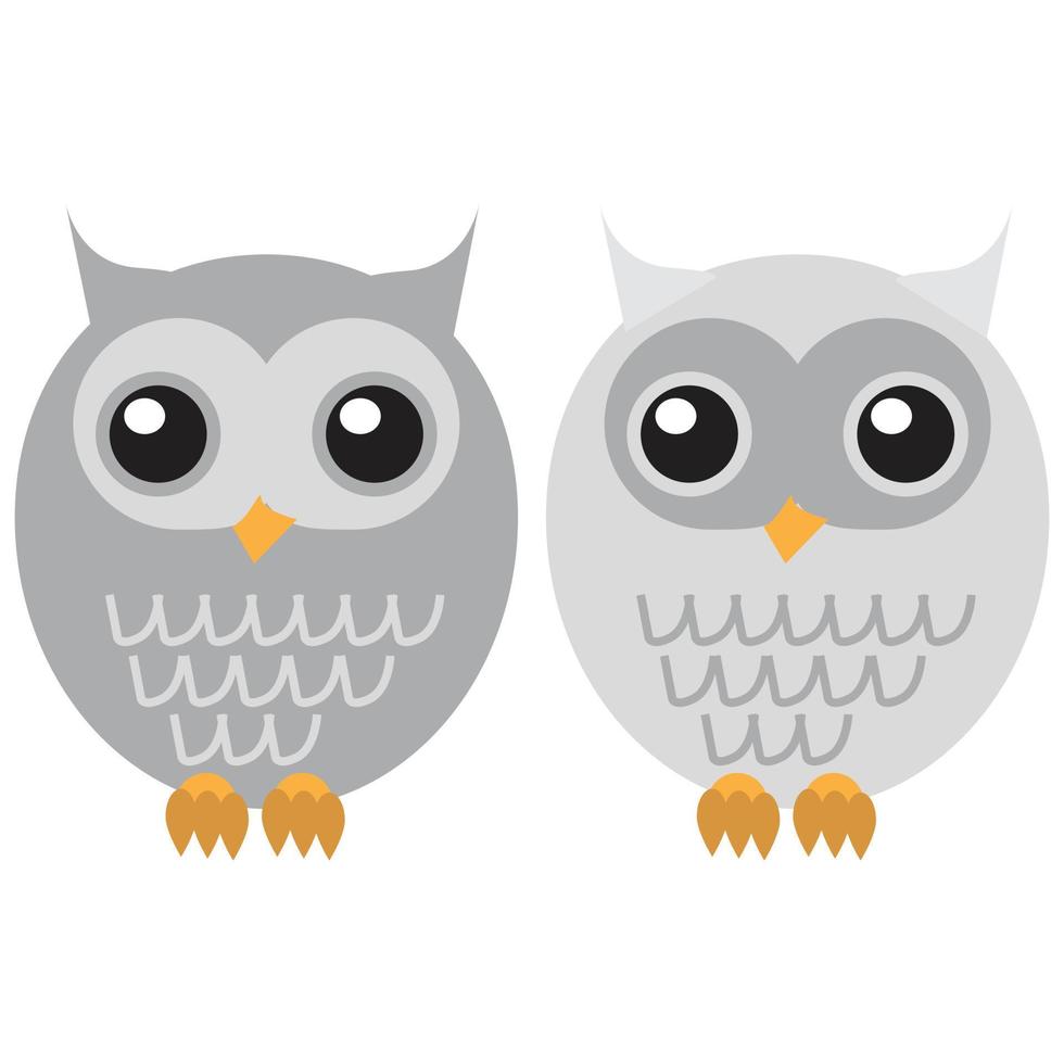 cute owl vector illustration. animal, bird, wildlife