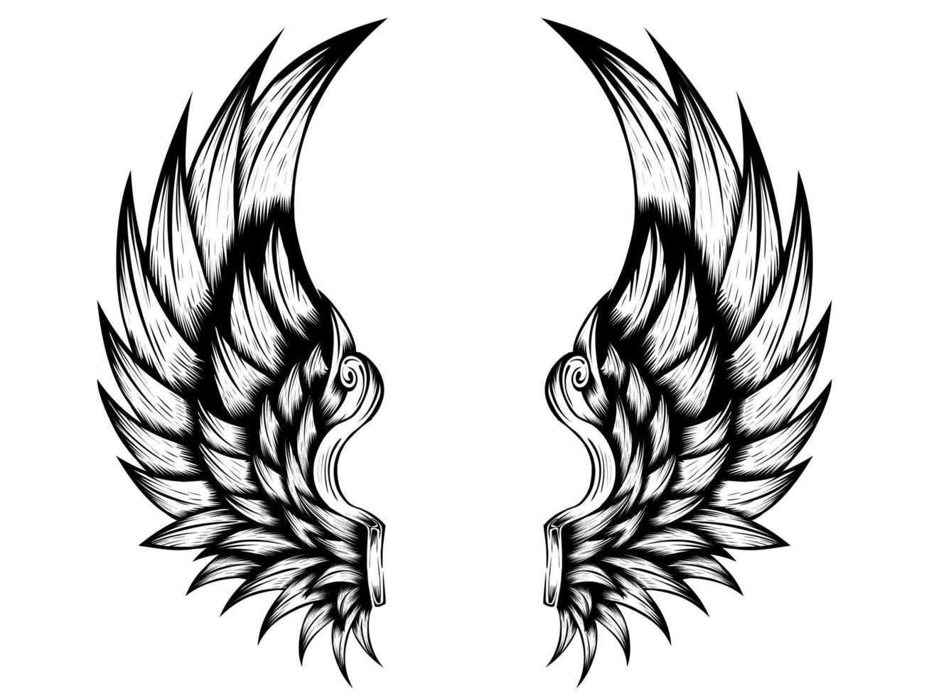 Angel wings vector design free download