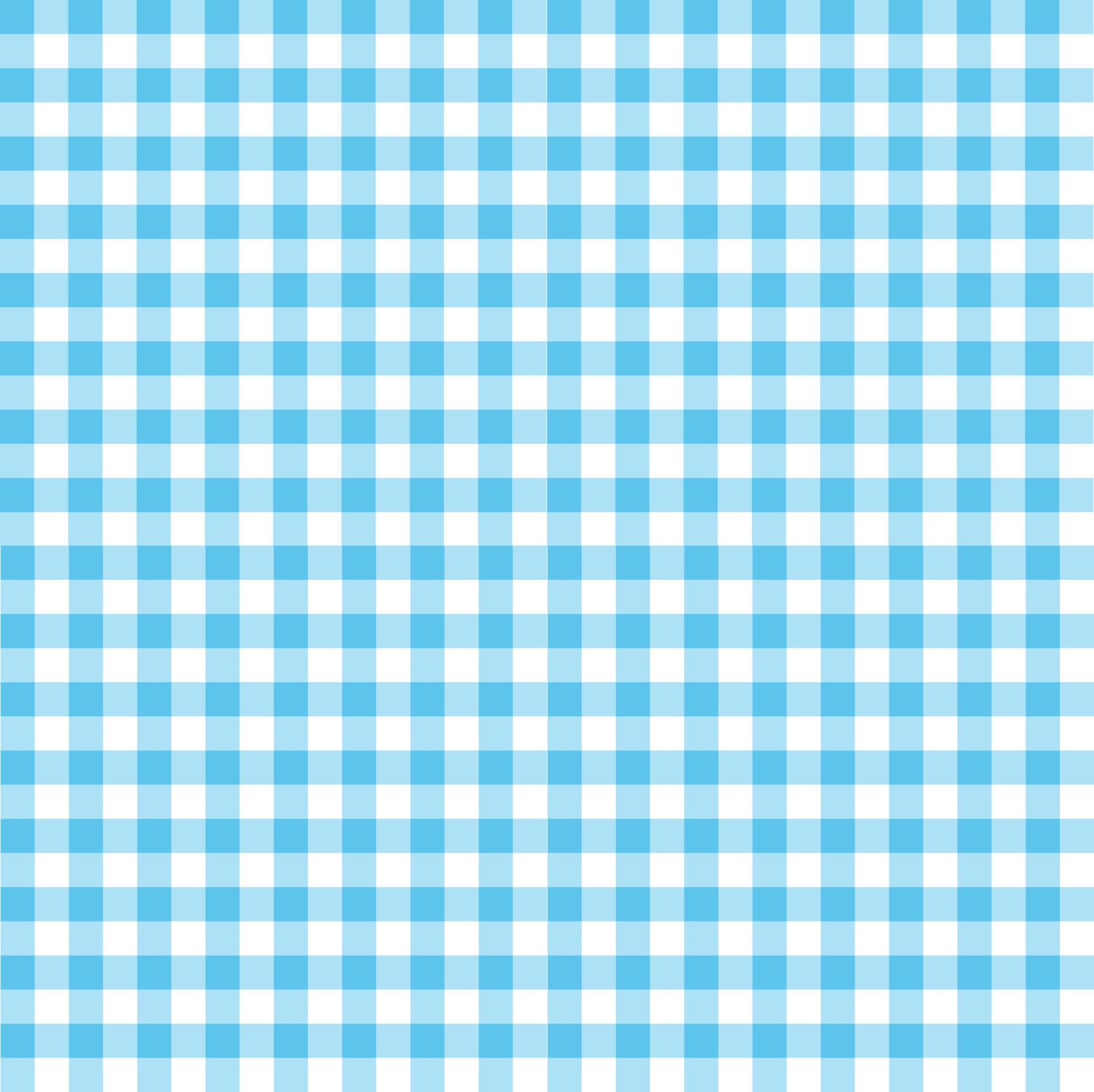 Gingham blue and white seamless pattern.Checkered tablecloth texture