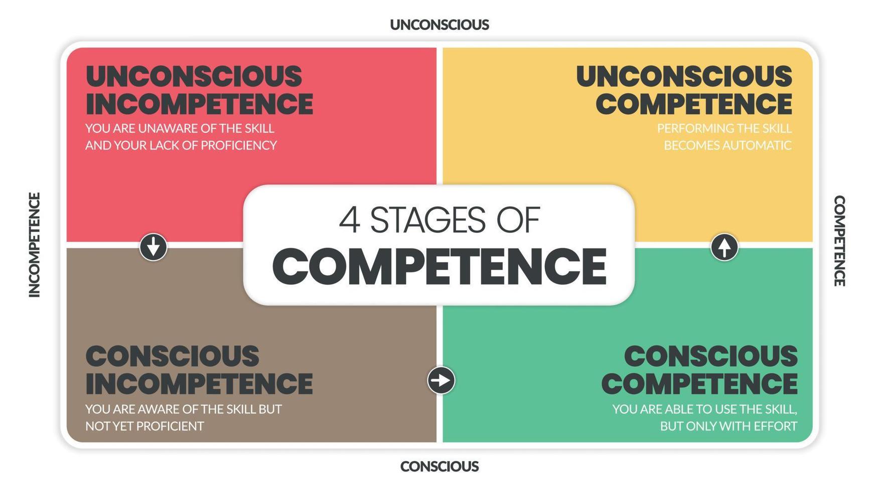 Matrix diagram of 4 stages of competence into a vector chart infographic for human resource development such as Unconsciously and Consciously Incompetent, Consciously, and Unconsciously Competent.